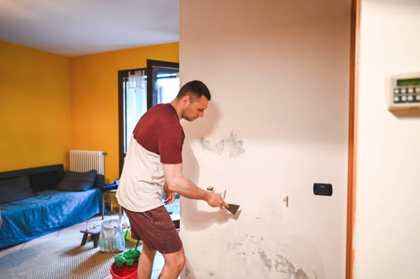 Best Crawl Space Mold Removal  in Mcnary, AZ