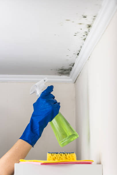 Best Mold Testing  in Mcnary, AZ